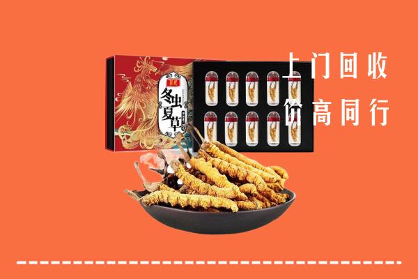 白碱滩区回收虫草